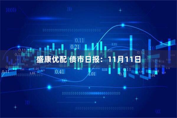 盛康优配 债市日报：11月11日