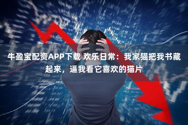 牛盈宝配资APP下载 欢乐日常：我家猫把我书藏起来，逼我看它喜欢的猫片